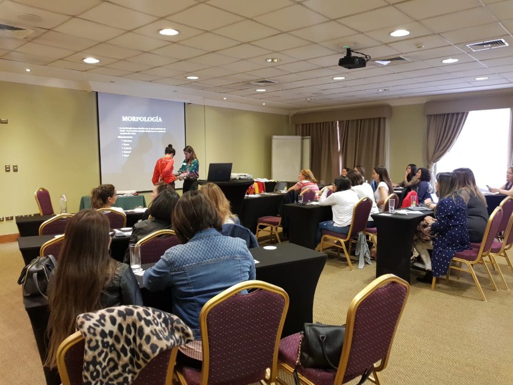 Curso de asesoria de imagen en temuco